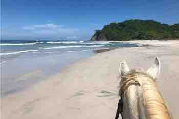 Safari & Barigona Beach na koňském sedle